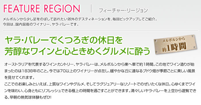 FEATURE REGION フィーチャー・リージョン