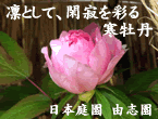 �¤ε���