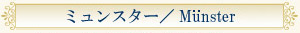 $B%_%e%s%9%?!<(B