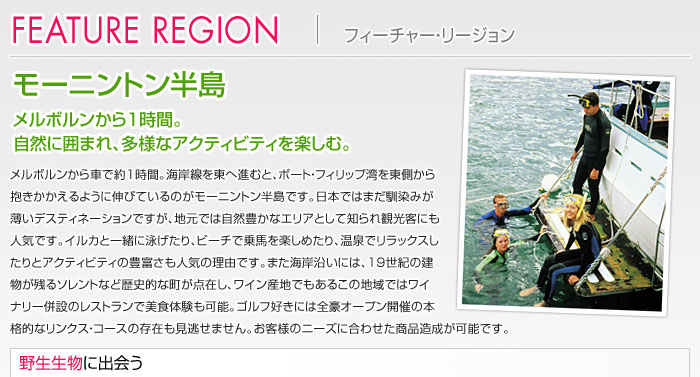 FEATURE REGION �t�B�[�`���[�E���[�W����