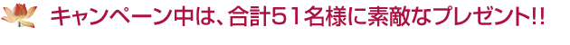 Ly[́Av51lɑfGȃv[gII