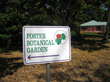 tHX^[A@FOSTER BOTANICAL GARDEN