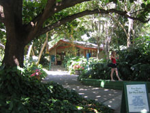 tHX^[A@FOSTER BOTANICAL GARDEN