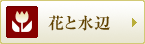 ԂƐ