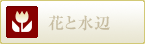 ԂƐ