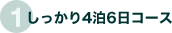 しっかり4泊6日コース