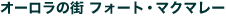 I[̊X@tH[gE}N}[̊Tv