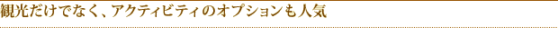 観光だけでなく、アクティビティのオプションも人気