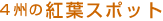4州の「紅葉スポット」
