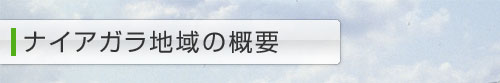 ナイアガラ地域の概要