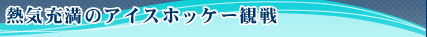 MC[̃ACXzbP[ϐ