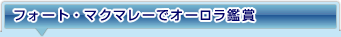 tH[gE}N}[ŃI[ӏ