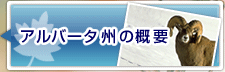 Ao[^B̊Tv