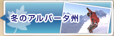 ~̃Ao[^B