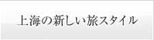 C̐VX^C