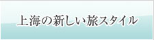 C̐VX^C