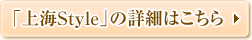 uC stylev̏ڍׂ͂