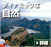 ダイナミックな自然