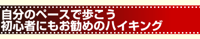 自分のペースで歩こう 初心者にもお勧めのハイキング
