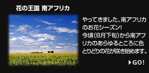 花の王国 南アフリカ