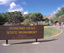 �_�C�������h�w�b�h�^�B�����������