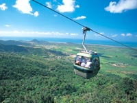 �X�J�C���C�[��