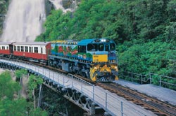 �L�������_�ό����