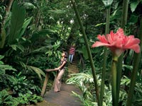 �t���b�J�[�A����