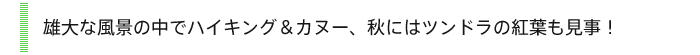 雄大な風景の中でハイキング＆カヌー、秋にはツンドラの紅葉も見事！