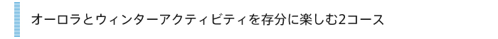 雪と氷に覆われた世界で見上げる神秘のオーロラ