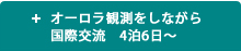 オーロラ観測をしながら国際交流　4泊6日～