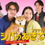 シバのおきて～われら犬バカ編集部～アイキャッチ