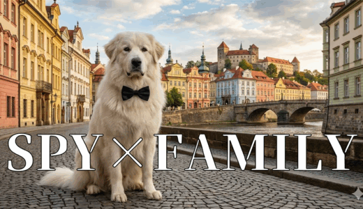 「SPY×FAMILY（スパイファミリー）」の見逃し配信を無料で全話見るにはどこで見れる？