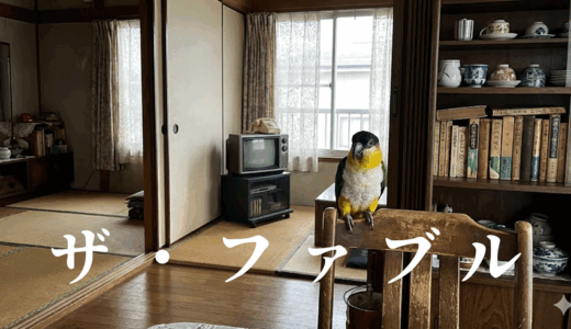 「ザ・ファブル」の見逃し配信を無料で全話見るにはどこで見れる？