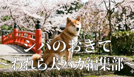 「シバのおきて～われら犬バカ編集部～」の見逃し配信を無料で全話見るにはどこで見れる？・再放送はいつ？