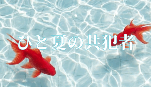 「ひと夏の共犯者」の見逃し配信を無料で全話見るにはどこで見れる？・再放送はいつ？