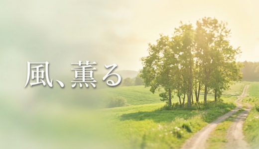 「風、薫る」見逃し配信はどこで見れる？。無料サービスはTver以外もあり？