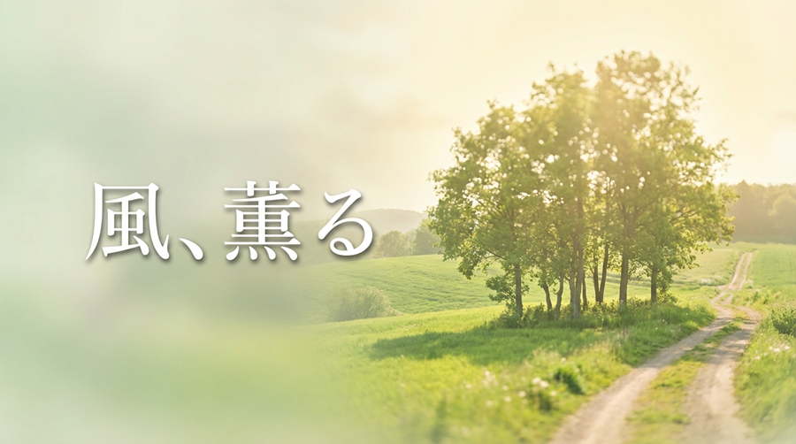 風、薫るアイキャッチ