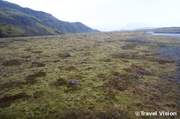 アイスランドには溶岩原が多く、基本的に樹木は生えていない。各地で植林が試みられているが大きく育ってはいないため「アイスランドの森で迷ったら」「座っていないで立ち上がればいい」というジョークがある
