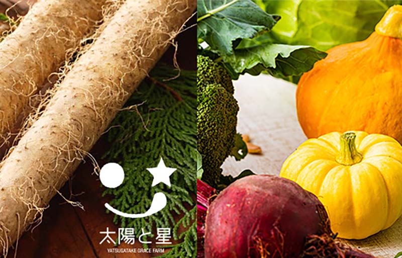 八ヶ岳グレイス農園の野菜セット 長芋入り