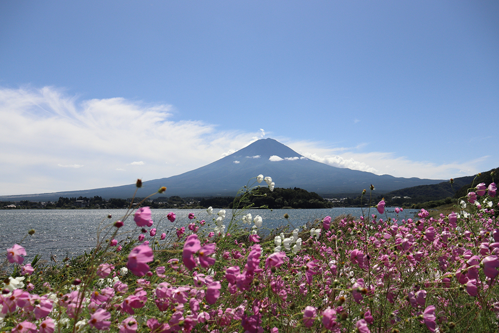 大石公園