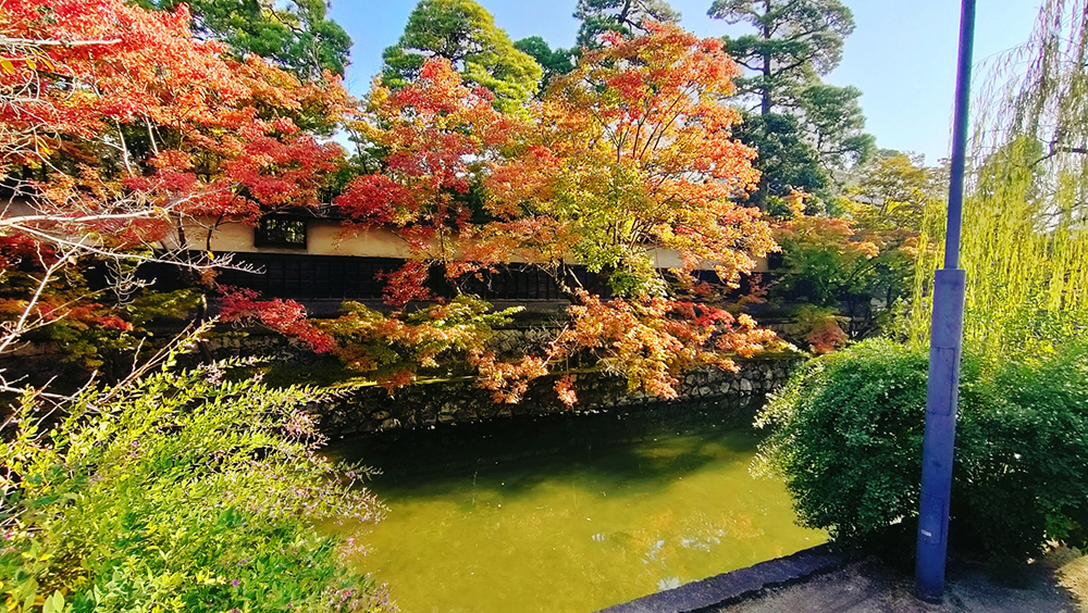 倉敷美観地区