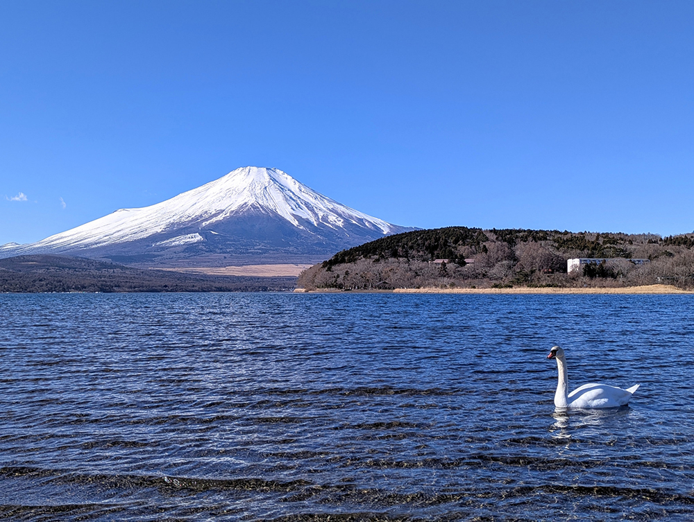 富士山と山中湖