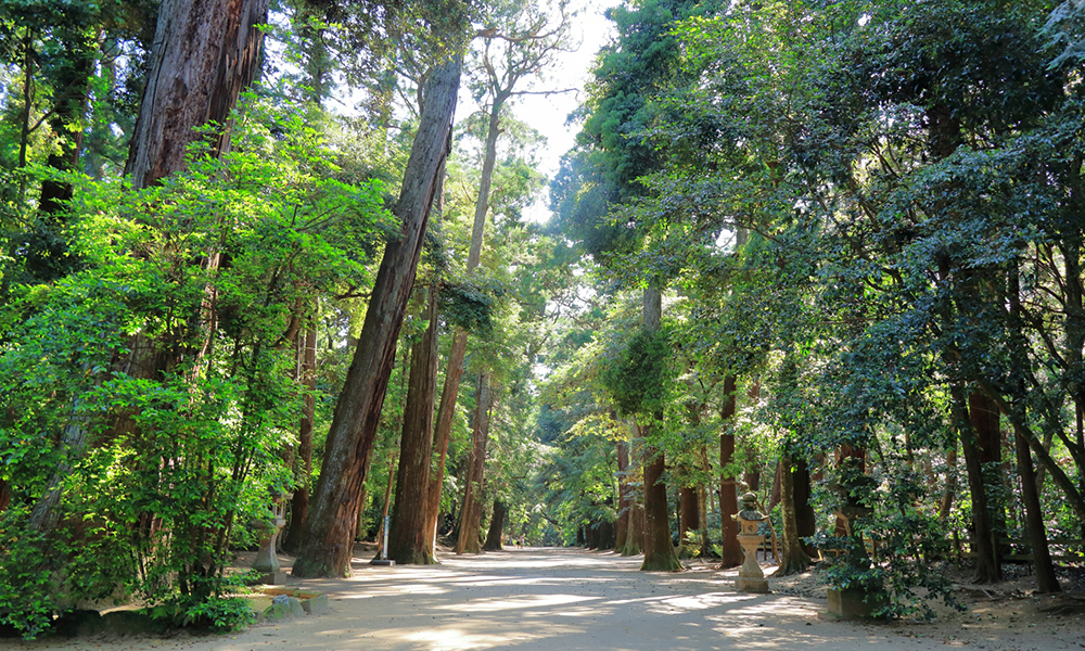 鹿島神宮奥参道