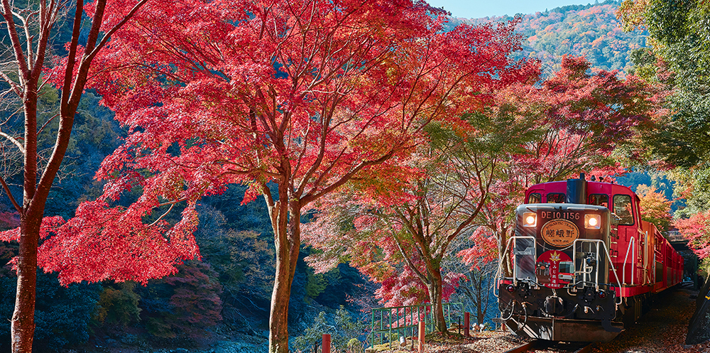 嵯峨野トロッコ列車