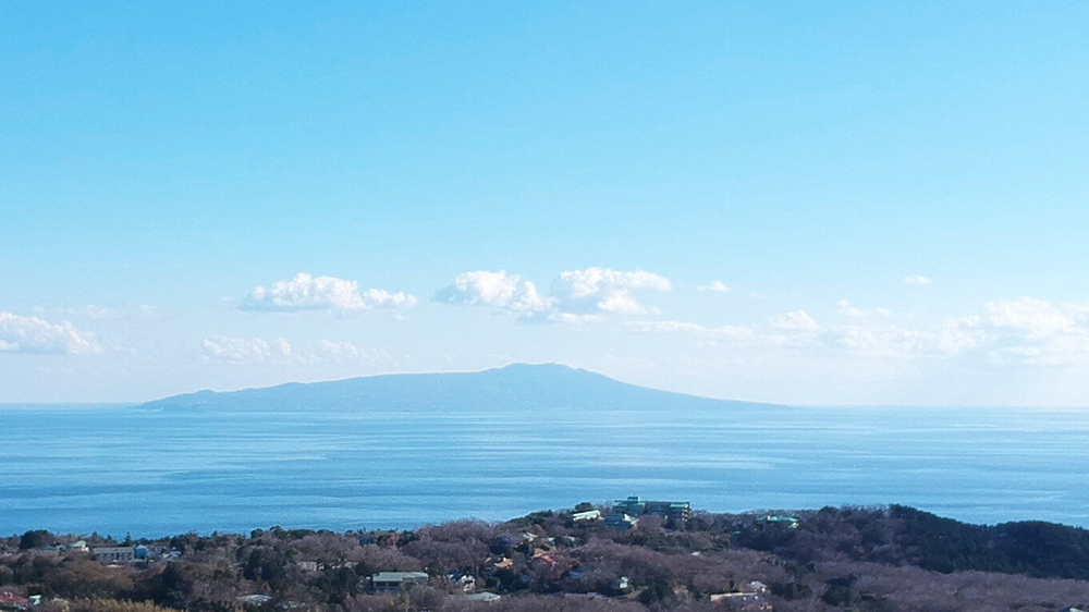 ニッポニア高原宿 夢海月