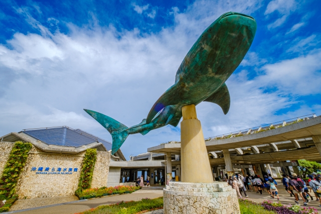 沖縄美ら海水族館