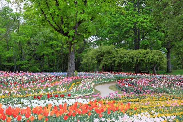 国営讃岐まんのう公園