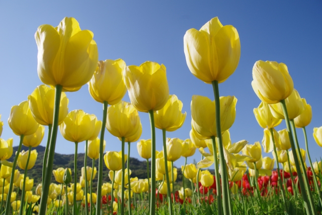 インスタ映えスポット