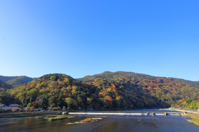 ゆっくりと観光